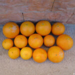 naranjas-cultivo-sostenible-valencia